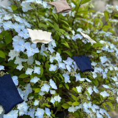 足の悩みはインナーで解決