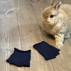 【足ムレに悩み開発】和紙が織り込まれた靴下の肌着で解決！