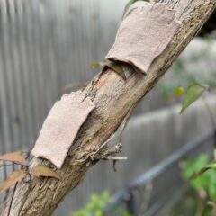 【足のニオイ対策】には、靴下の中に肌着だった！