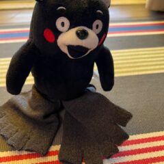 ハーフソックス　靴下の中に履く