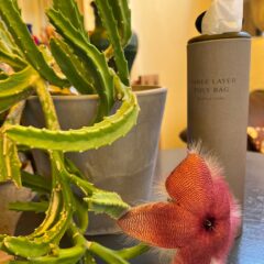 悪臭閉じ込め　使ってなかった時には戻れない　防臭袋のある生活